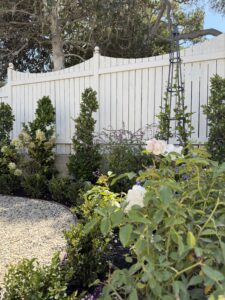 garden, cottage, cottage garden