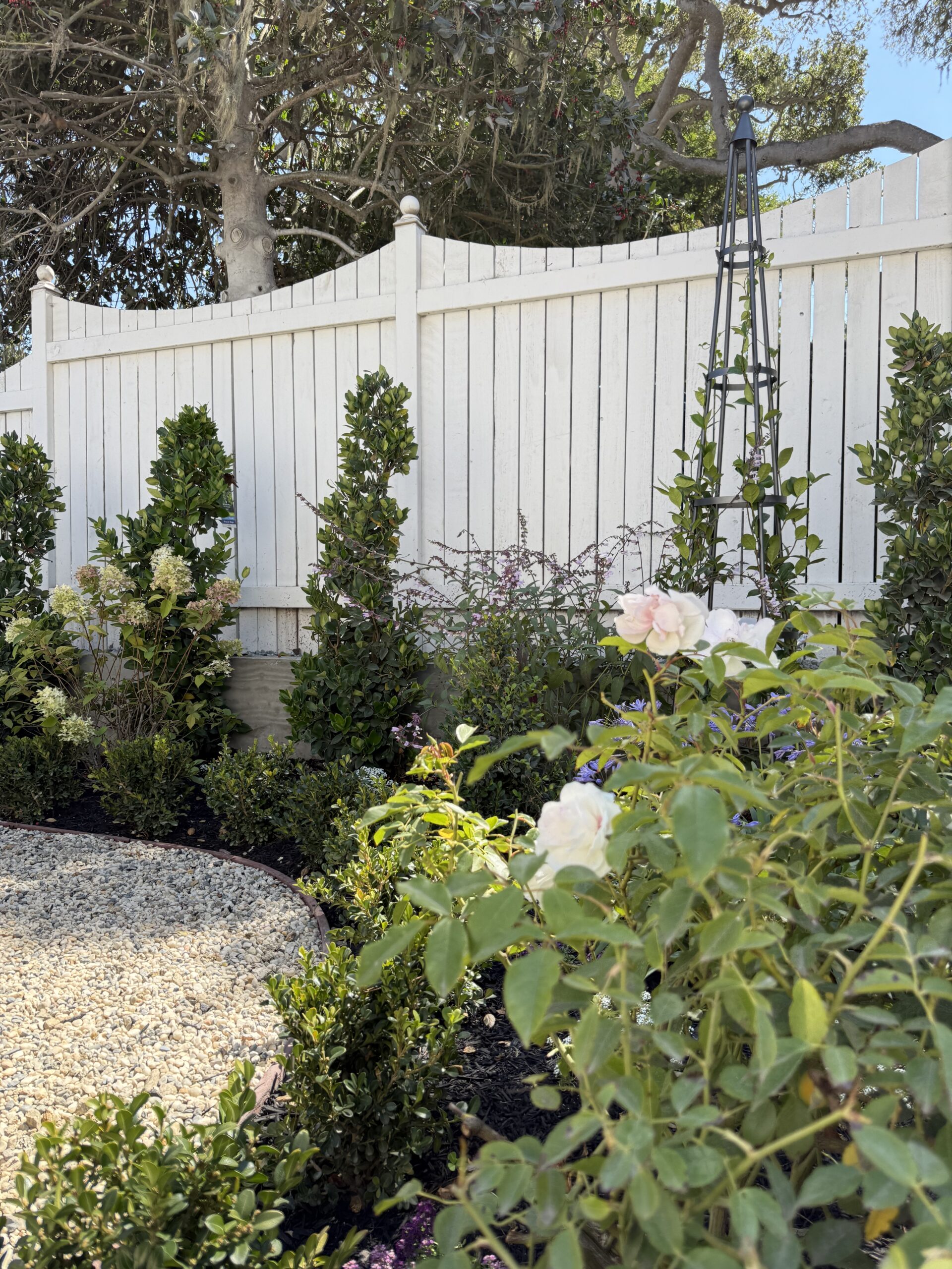 garden, cottage, cottage garden